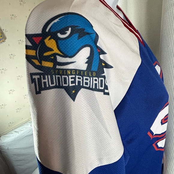 Springfield mass Thunderbird hockey team long sleeve jersey - Picture 4 of 6